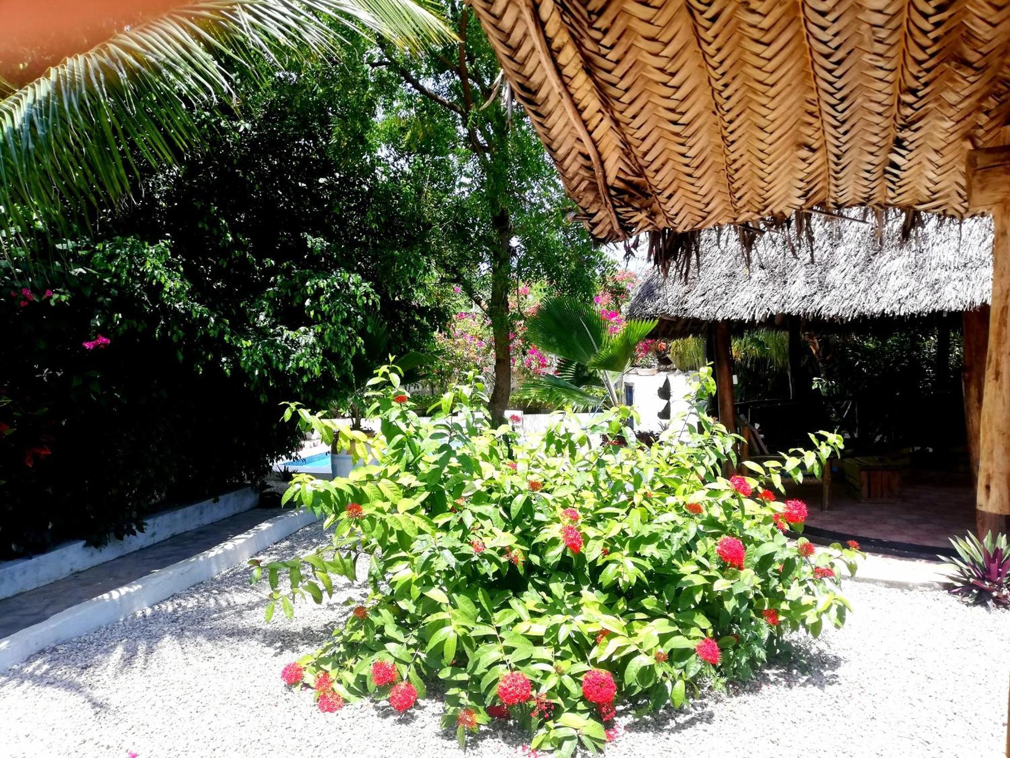 Vanilla Villa Nungwi Exterior foto